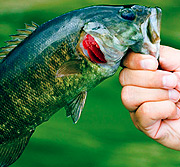 如何轰炸小三电话